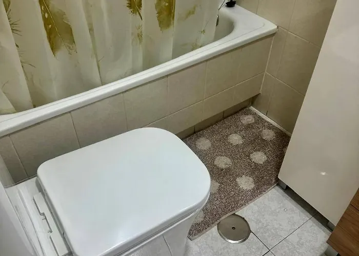 Studio, Near The Apartment Torrevieja